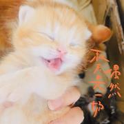 Joyi_110的个人资料头像