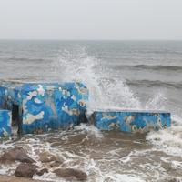 爱生活的逍遥野狼219头像