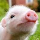 kevin就是我111082的个人资料头像