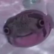 yrc1203_的个人资料头像