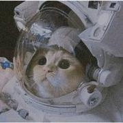 屑皇渣包的个人资料头像