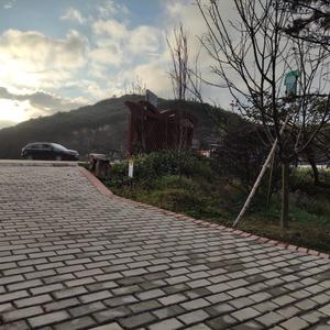 风若隐若头像