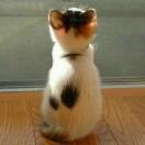 网管9527的个人资料头像