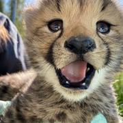 thanksdyana的个人资料头像