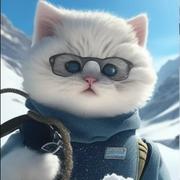 智能科技的个人资料头像