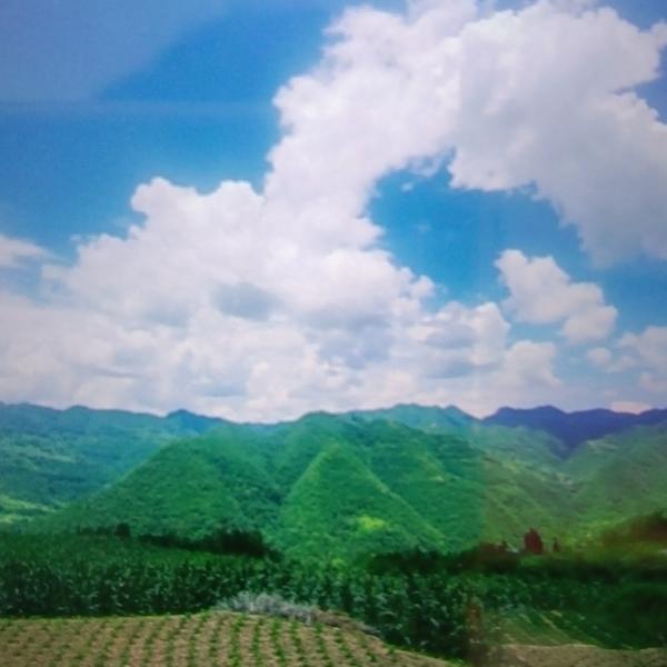 吾家德汽车头像