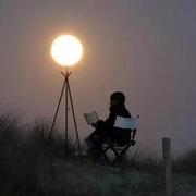 不到200题不改名的个人资料头像