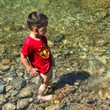 如意吉祥阳杨阳头像