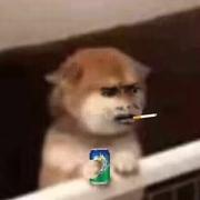 没事就喝水的个人资料头像