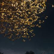 matrix1997的个人资料头像