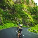 Qsir本尊的个人资料头像