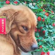 AegisDev的个人资料头像