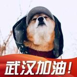 怪蜀黍视频头像