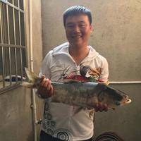 沙漠清泉头像