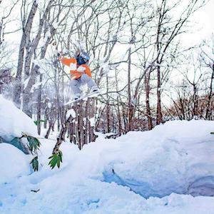 满级教练吉米花（北海道二世谷教学导滑）头像