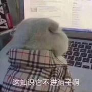 SuperSoda的个人资料头像
