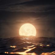 佘曼榕的个人资料头像