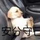 Fwwerr头像