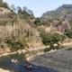 HZ树袋熊 · 零跑C01车主·车龄1年头像