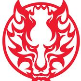 舞于群狼之中头像