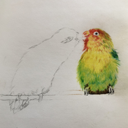 茄子不是车厘子的个人资料头像