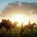 Fighting同学75878的个人资料头像