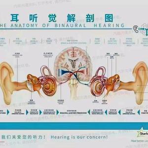 聆听大自然的声音头像