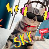 本人贼✌️头像