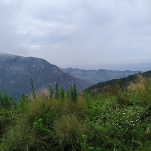 我是乡音头像