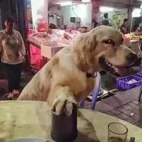 用户8494405912702头像