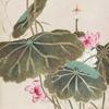 蜗牛丝草头像