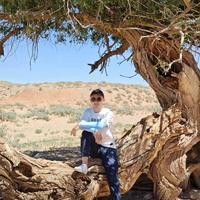 极速铁力6w1头像