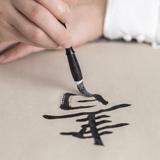 自圆其说的从前头像