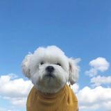 青山69459头像