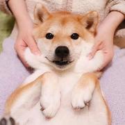 用户1954570123810的个人资料头像