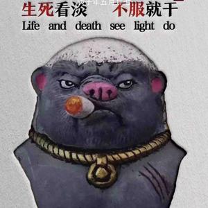 瑞丽汇车众名车头像