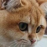 用户9931909322192头像