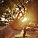 尼古拉斯小王的个人资料头像