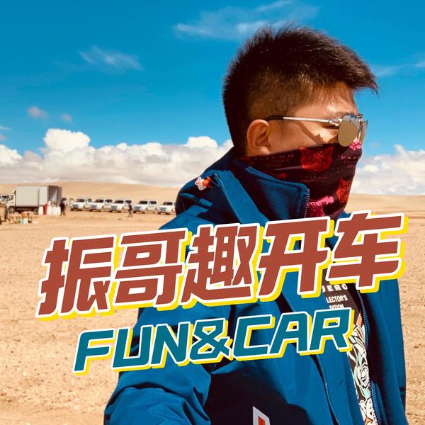 振哥趣开车头像