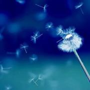 鹤辞782的个人资料头像