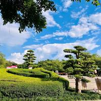 用户8931326505142头像