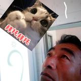 追梦赤子心吴举芝头像