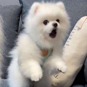 最是橙黄橘绿时的个人资料头像