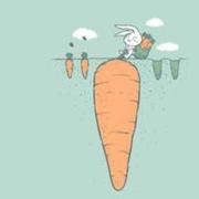 萝卜579的个人资料头像