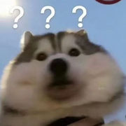 用户9222814615169的个人资料头像