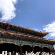 汤涛366的个人资料头像