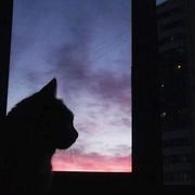 xuln的个人资料头像