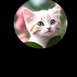 东方视图sys头像