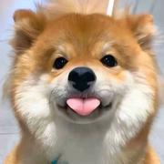 DuoDuoduo多啊的个人资料头像