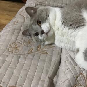 WOTB丶坦闪屑新手头像